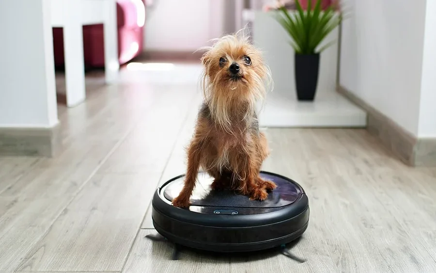 Pet Owners